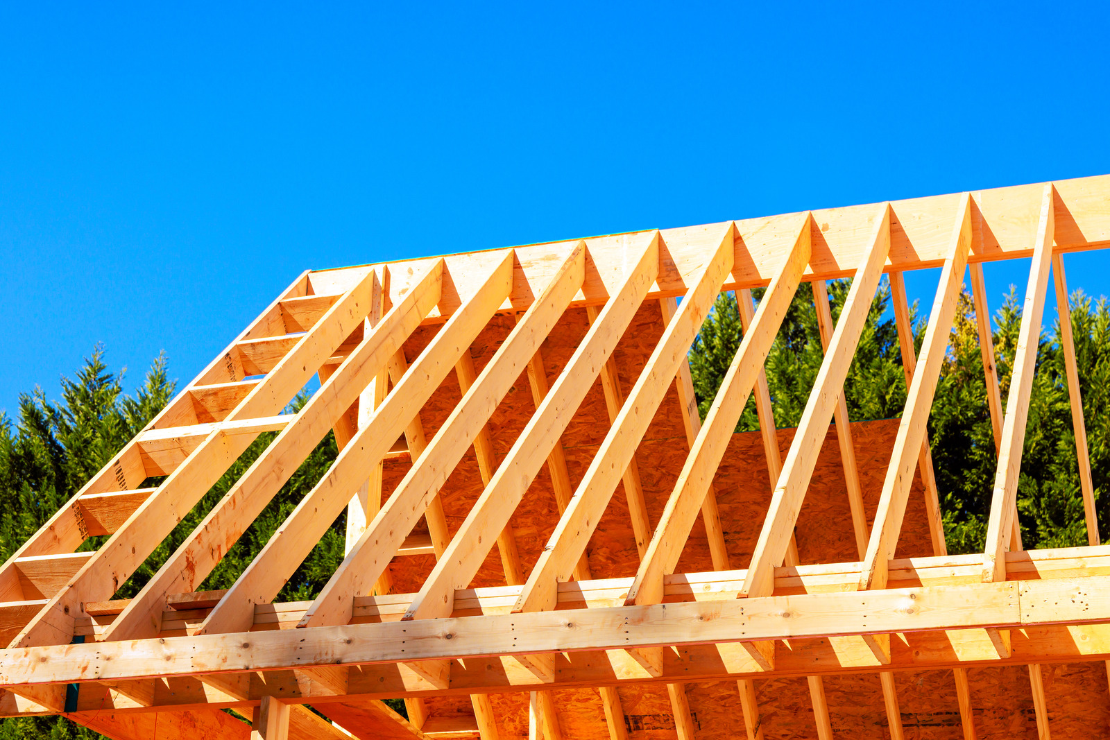 New Home Framing vs Renovation Framing in Ottawa: What’s the Difference?